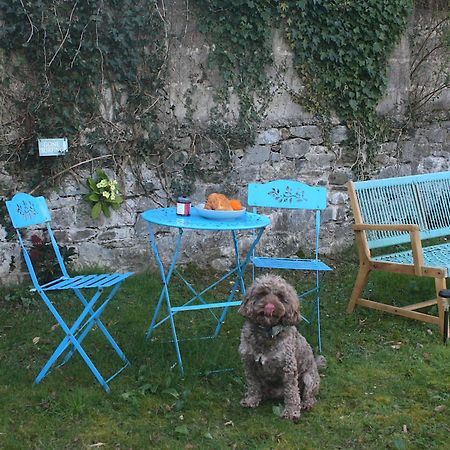 The Luxury Dartmoor Den, Dartmoor, Devon Appartement Ashburton Buitenkant foto